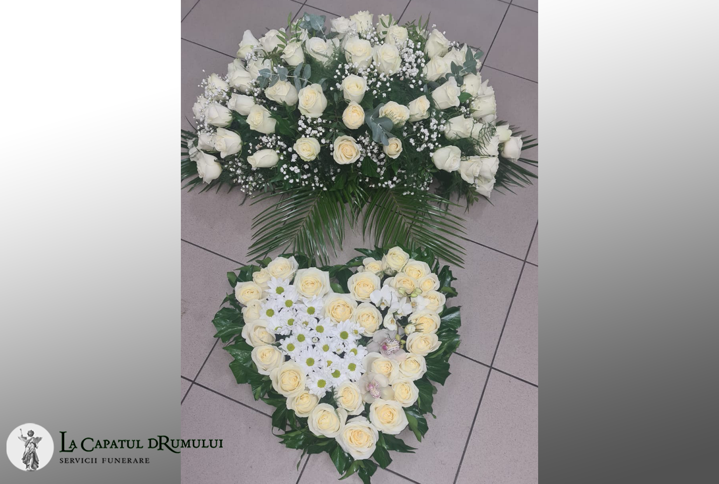 Coroana 7